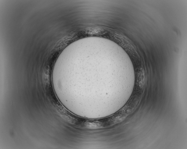 X0000110950510200907101310