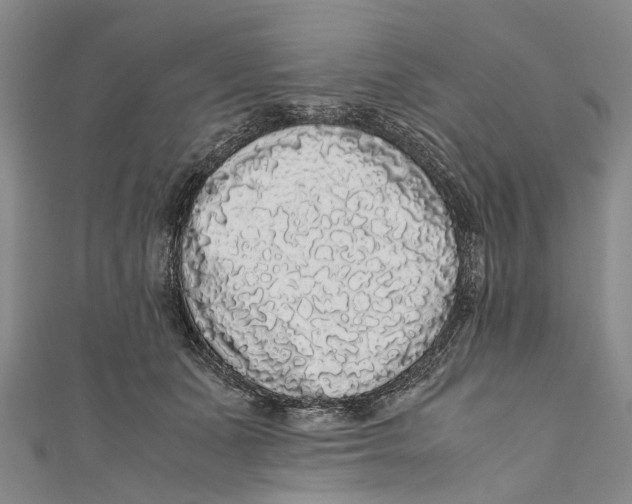 X0000110950511200907101310