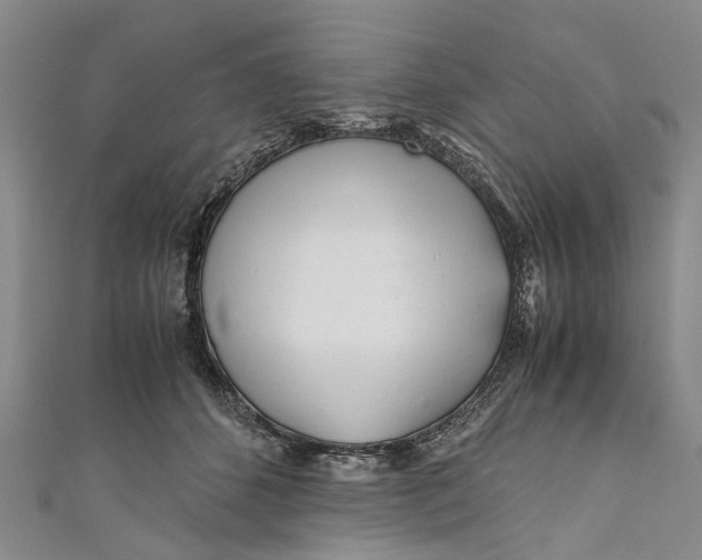 X0000110950512200907101310