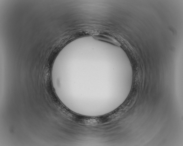 X0000110950513200907101310