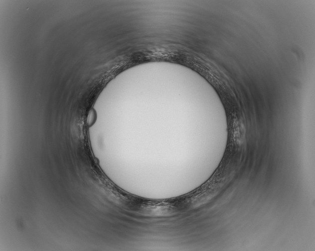 X0000110950514200907101310