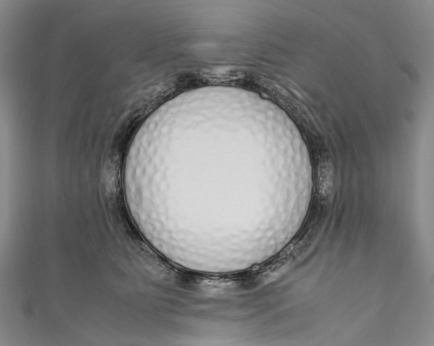 X0000110950515200907101310