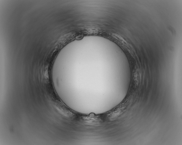 X0000110950516200907101310