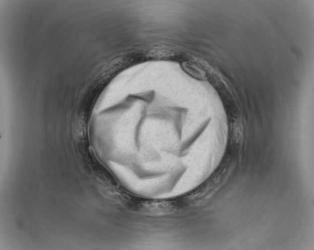 X0000110950517200907101310