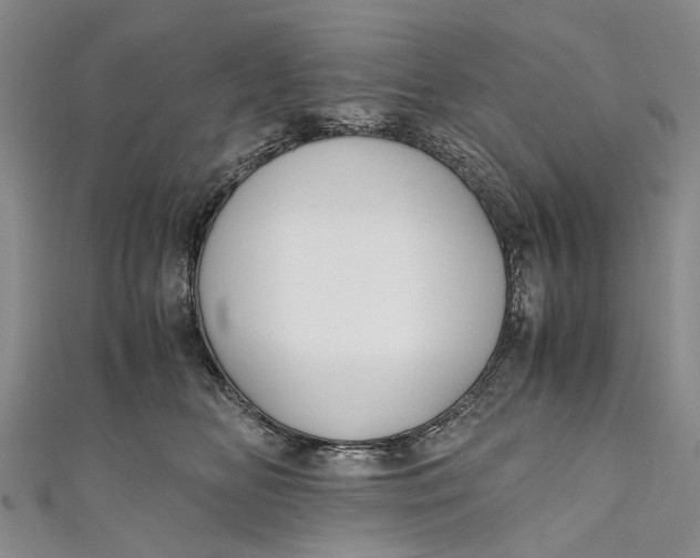 X0000110950518200907101310