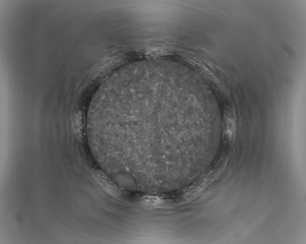 X0000110950519200907101310