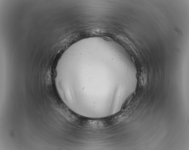 X0000110950520200907101310