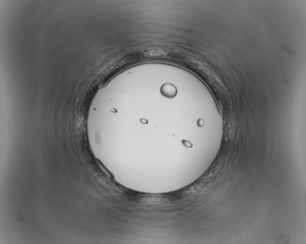 X0000110950521200907101310