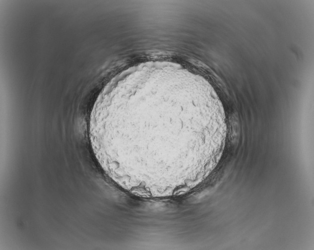 X0000110950523200907101310