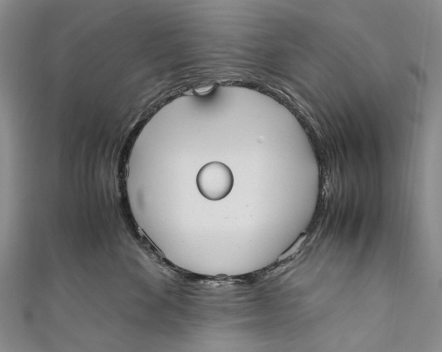 X0000110950524200907101310