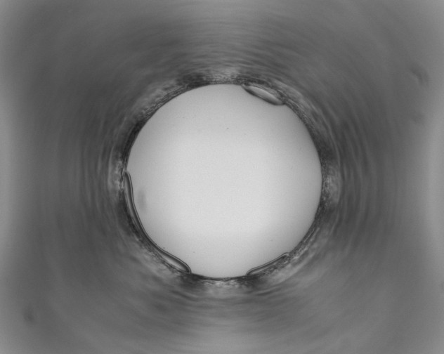 X0000110950525200907101310