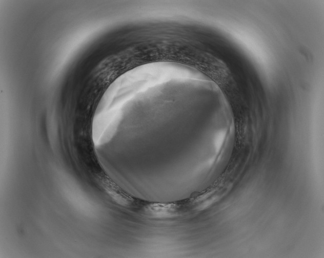 X0000110950526200907101310