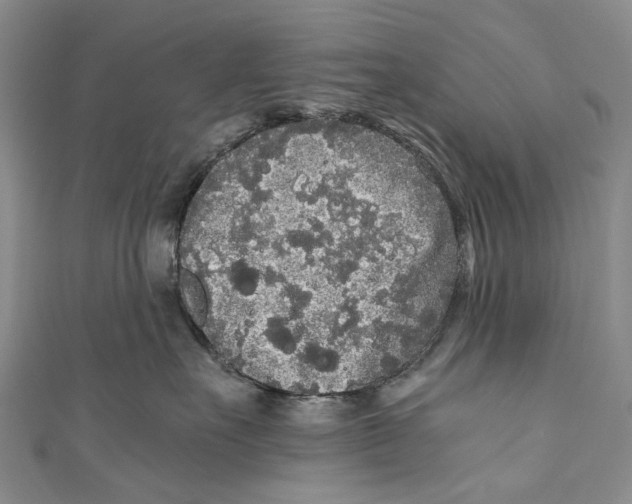 X0000110950527200907101310