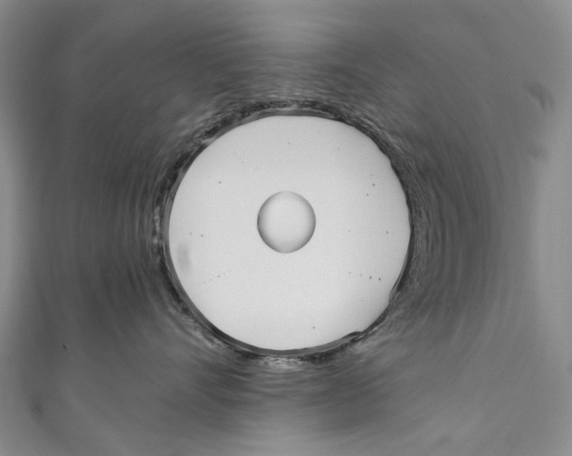 X0000110950528200907101310