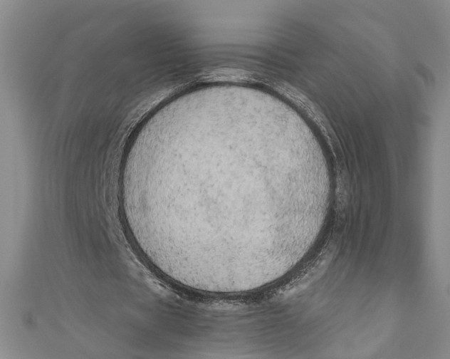 X0000110950529200907101309