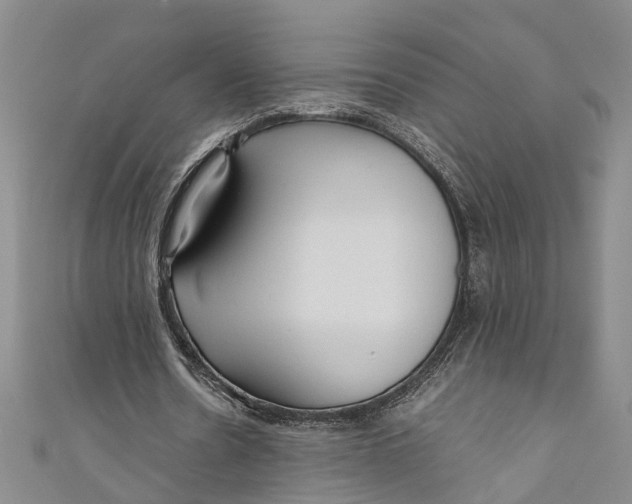 X0000110950530200907101309