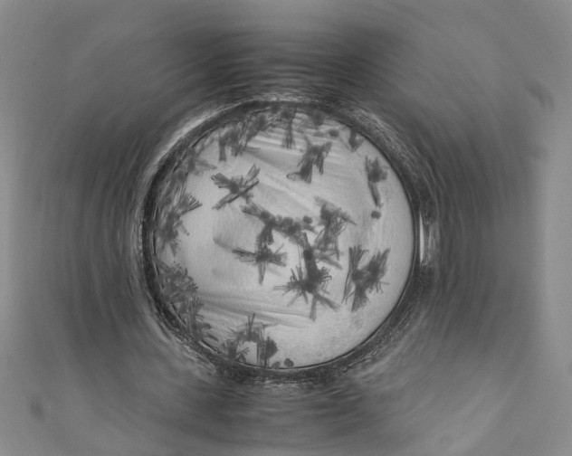 X0000110950531200907101309