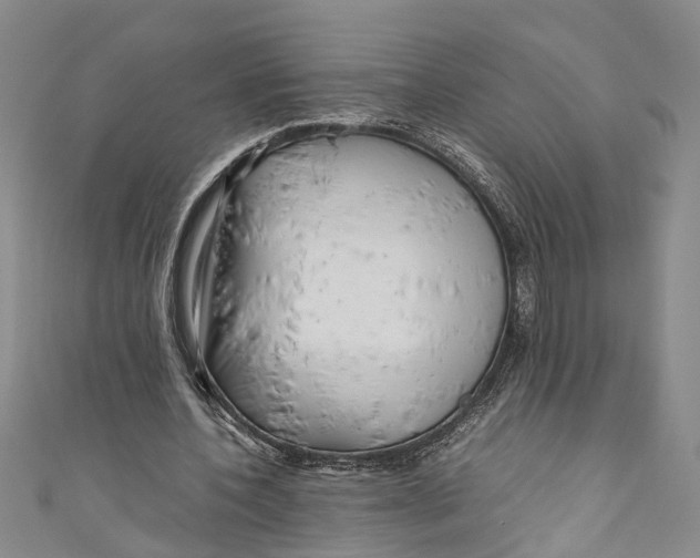 X0000110950532200907101309