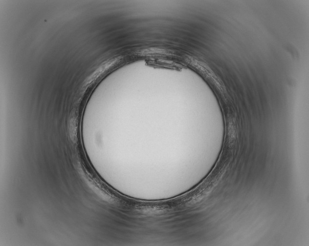 X0000110950533200907101309