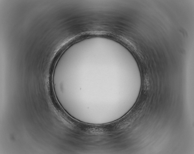 X0000110950535200907101309