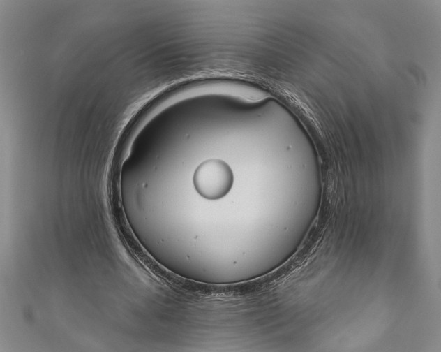 X0000110950536200907101309