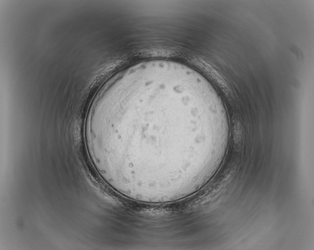 X0000110950537200907101309