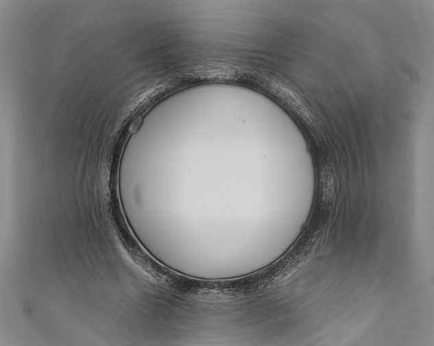 X0000110950538200907101309