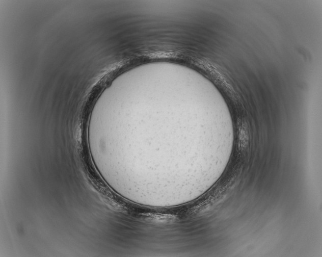 X0000110950539200907101309