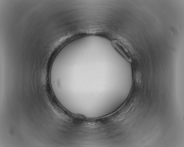 X0000110950540200907101309