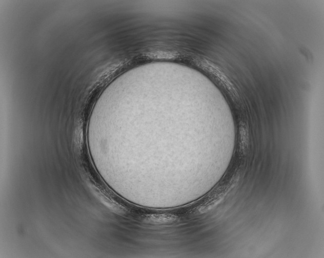 X0000110950541200907101309