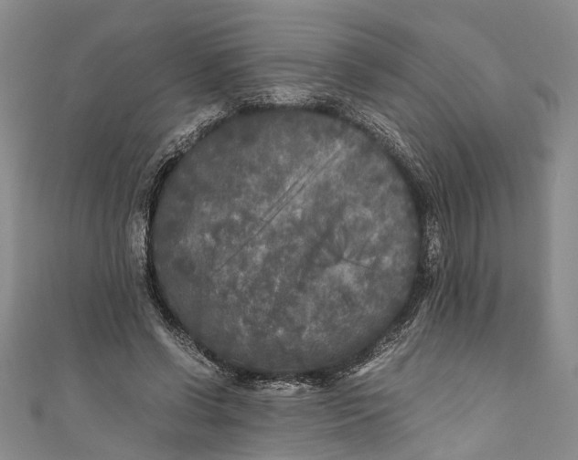 X0000110950542200907101309