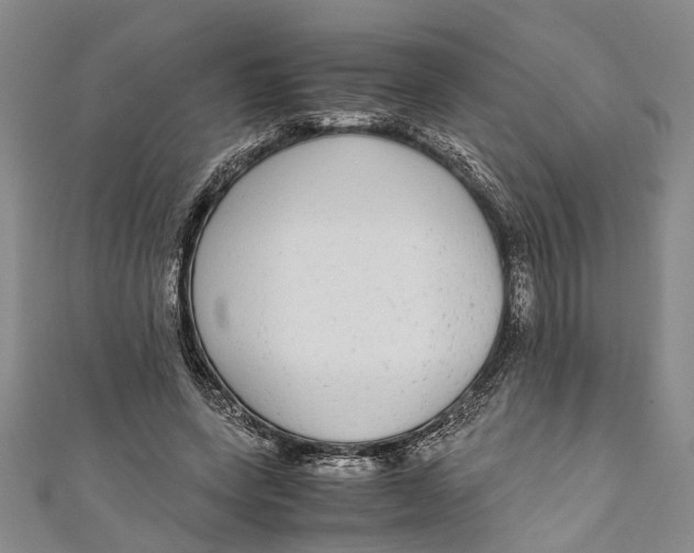 X0000110950543200907101309