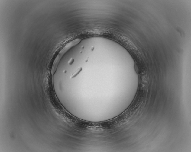 X0000110950544200907101309