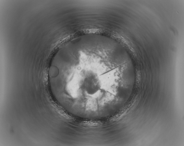 X0000110950545200907101309