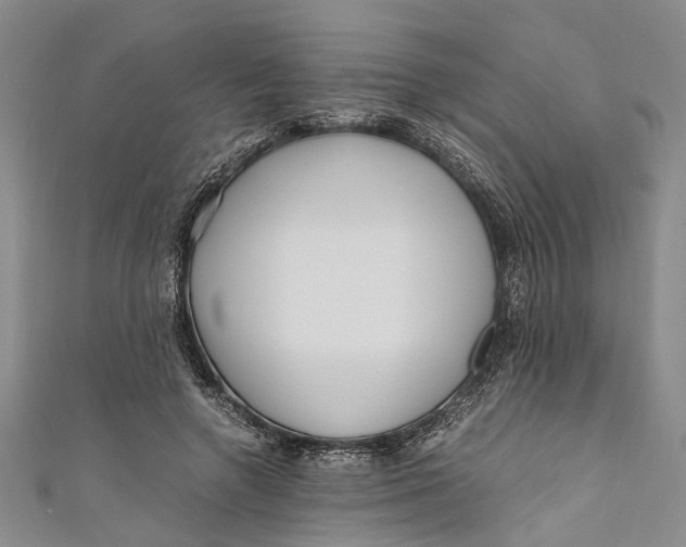 X0000110950546200907101309