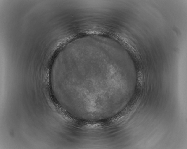 X0000110950547200907101309