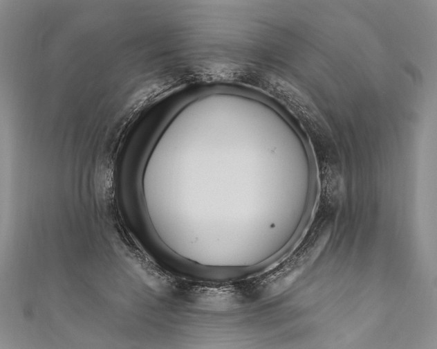 X0000110950548200907101309