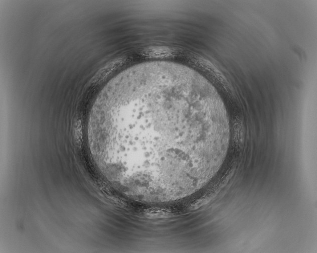 X0000110950549200907101309