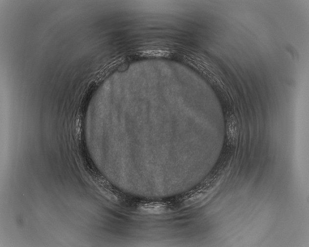 X0000110950551200907101309