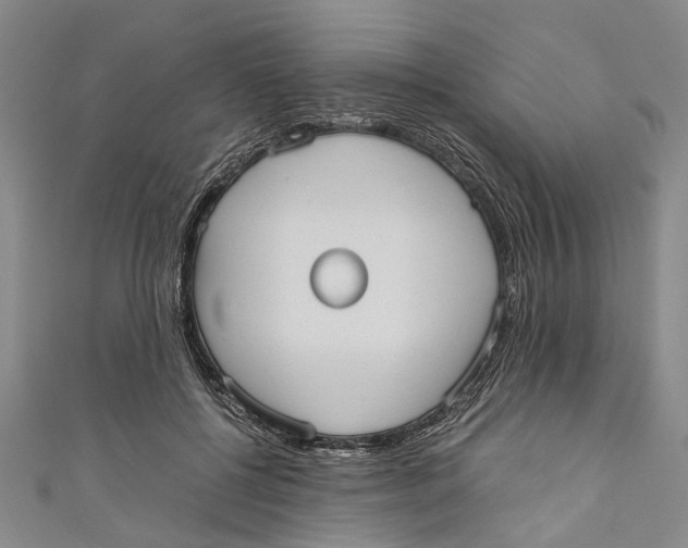 X0000110950552200907101309