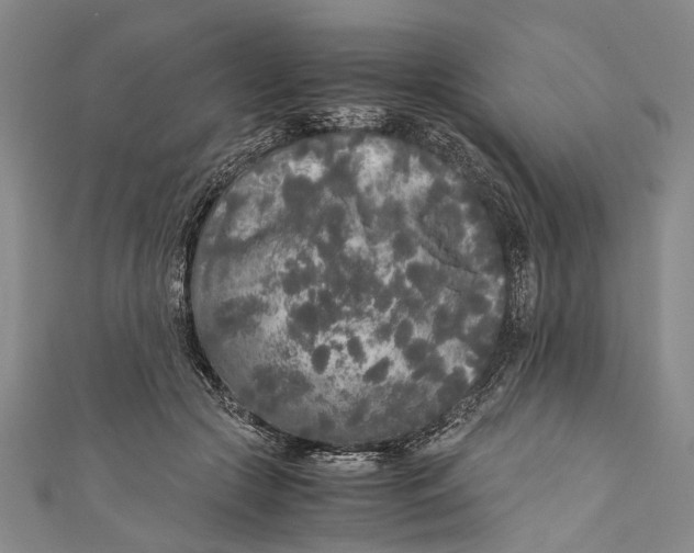 X0000110950553200907101309