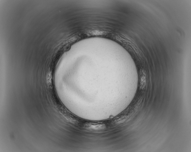 X0000110950555200907101309