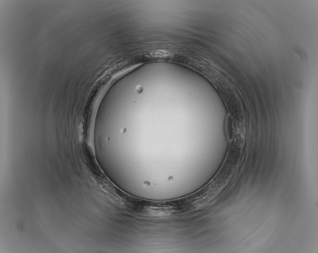 X0000110950556200907101309