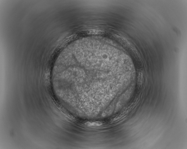 X0000110950557200907101309