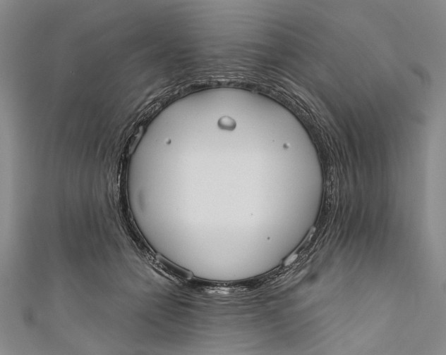 X0000110950558200907101309