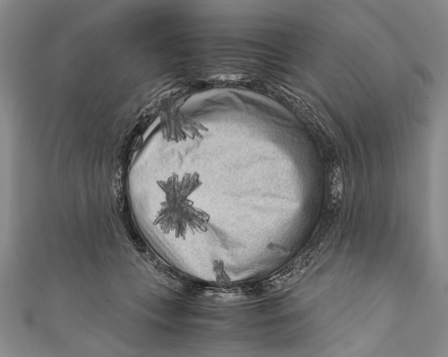 X0000110950559200907101309