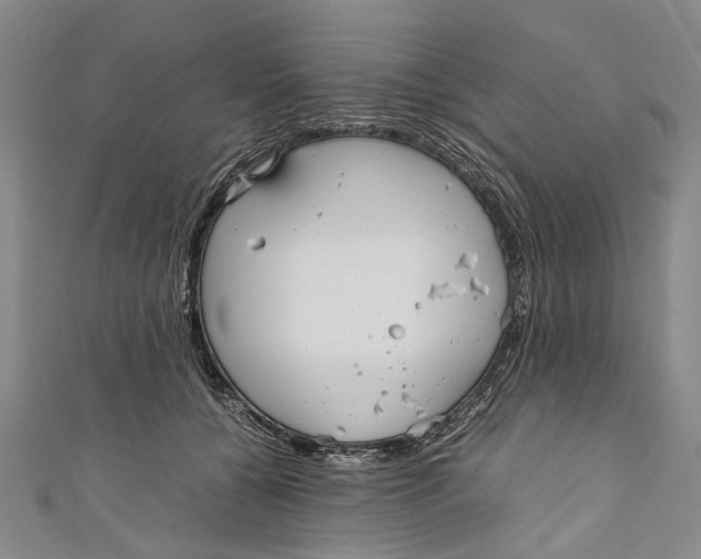 X0000110950560200907101309