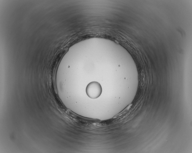 X0000110950562200907101309