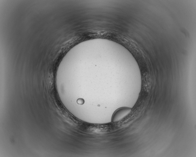 X0000110950563200907101309