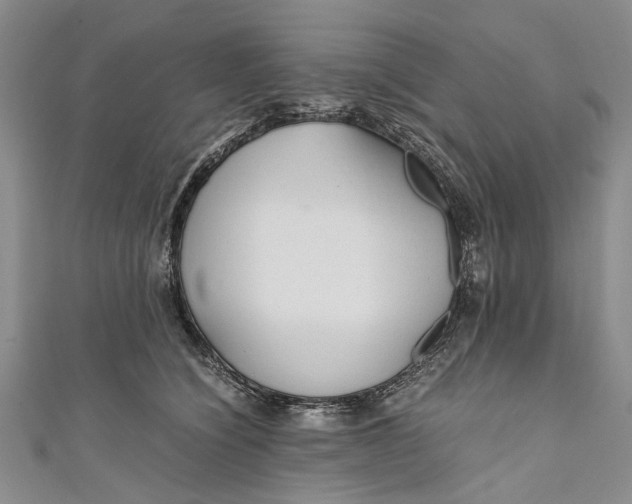 X0000110950564200907101309